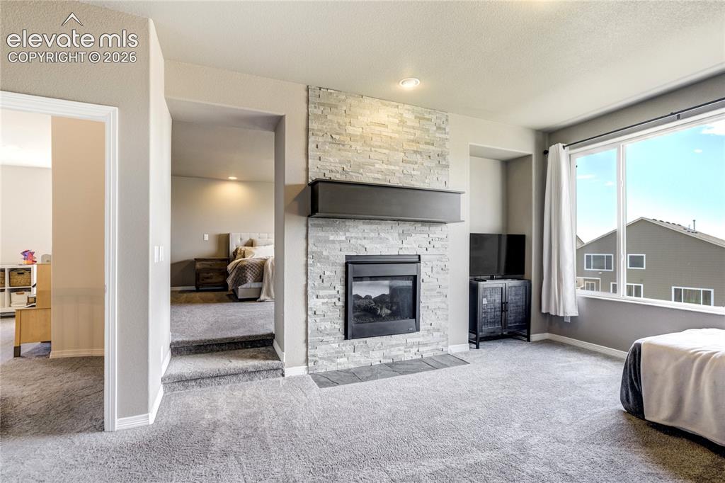 7664 Alpine Daisy Drive Colorado Springs CO 80925