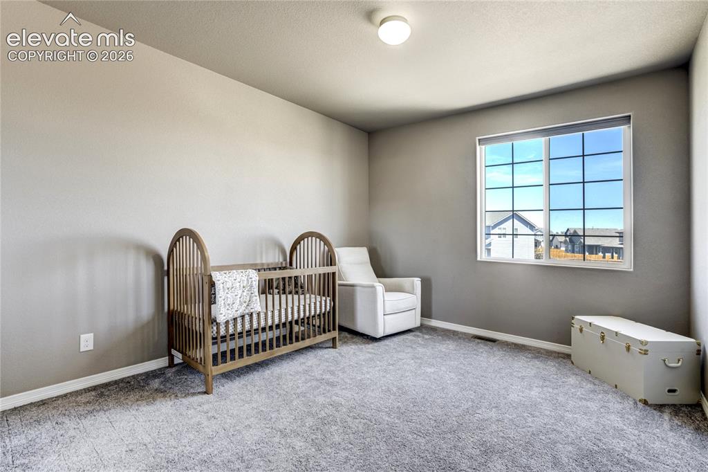 7664 Alpine Daisy Drive Colorado Springs CO 80925