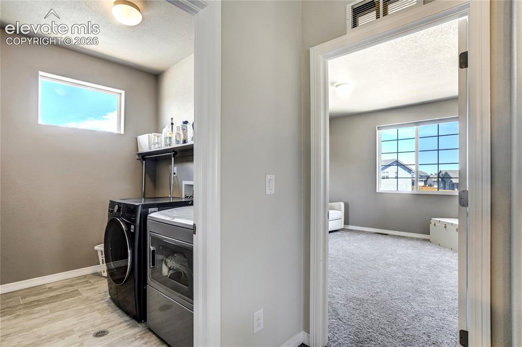 7664 Alpine Daisy Drive Colorado Springs CO 80925