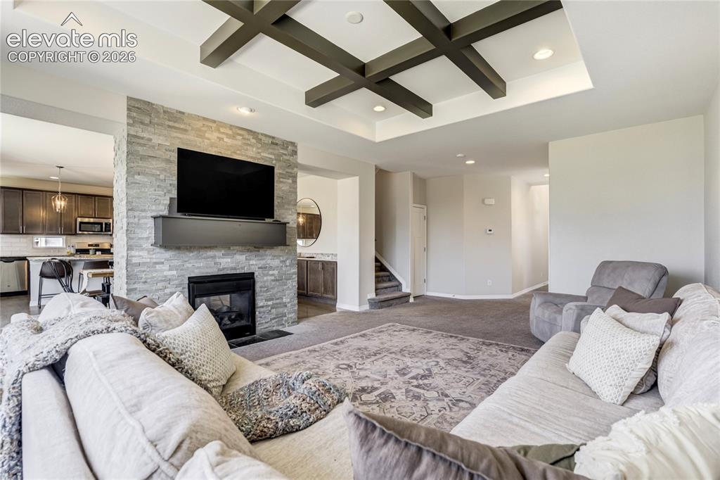 7664 Alpine Daisy Drive Colorado Springs CO 80925