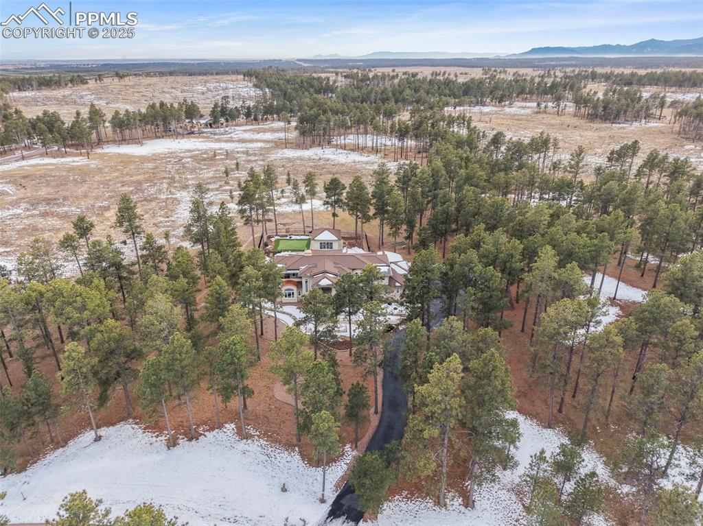 10957 Silver Mountain Point Colorado Springs CO 80908