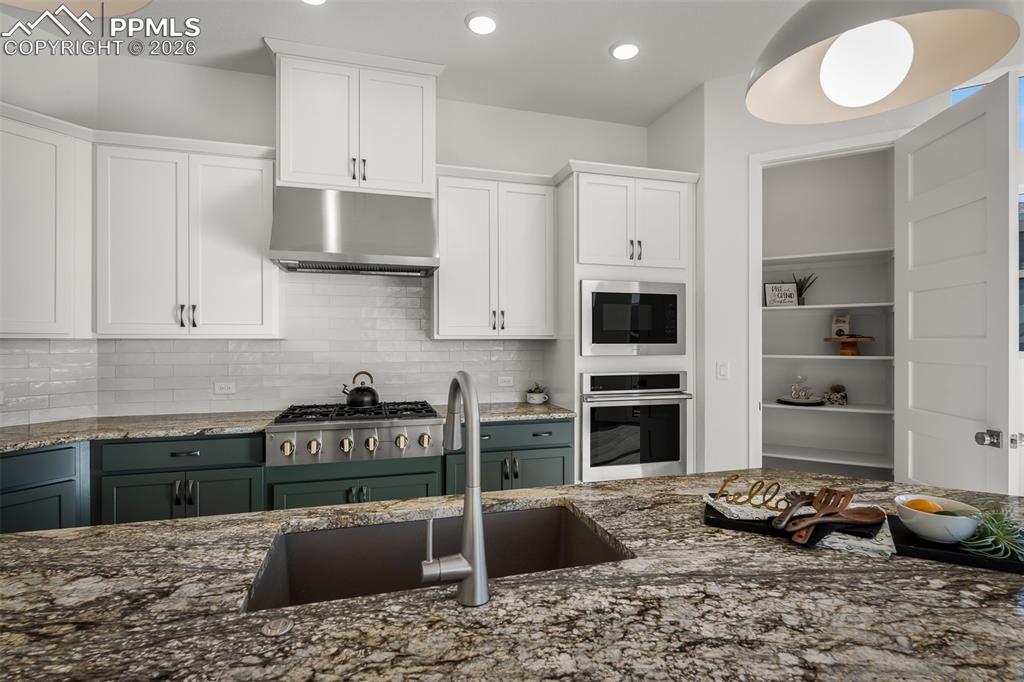 17234 Alsike Clover Court Monument CO 80132