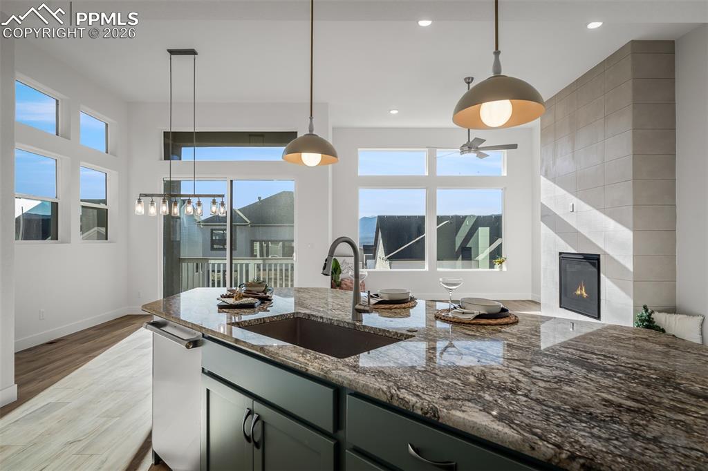 17234 Alsike Clover Court Monument CO 80132