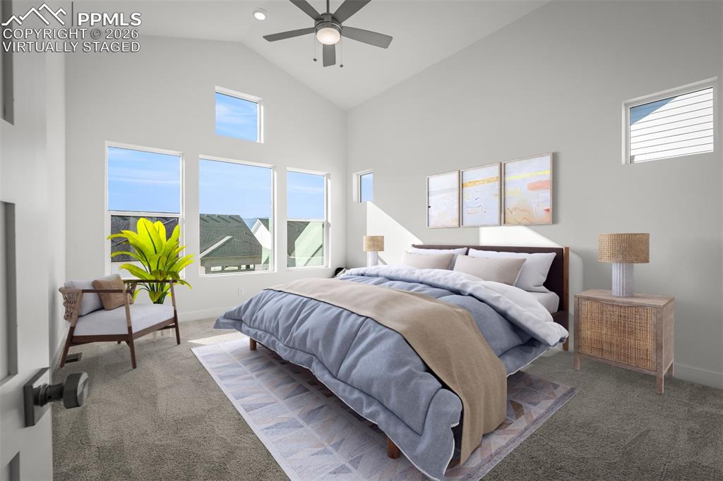 17234 Alsike Clover Court Monument CO 80132