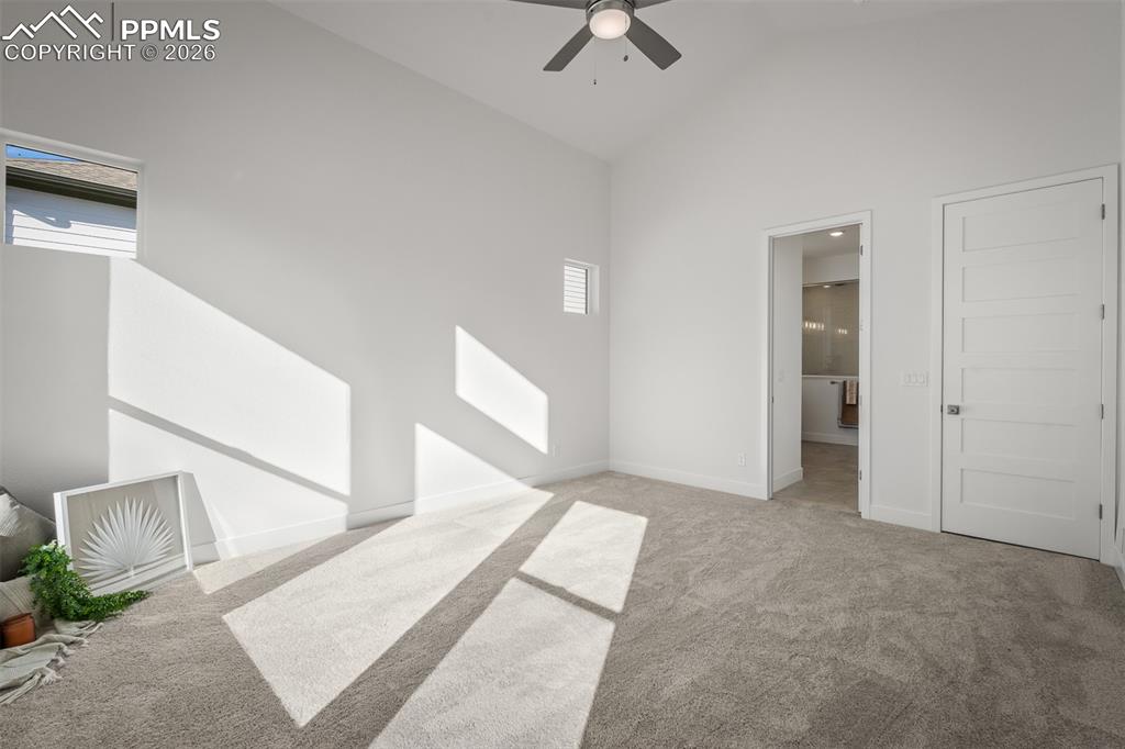 17234 Alsike Clover Court Monument CO 80132