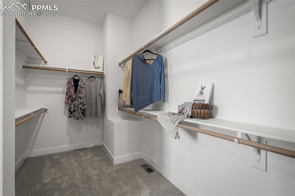 17234 Alsike Clover Court Monument CO 80132