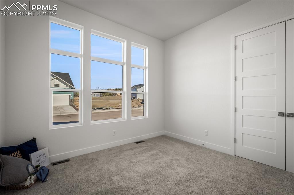 17234 Alsike Clover Court Monument CO 80132