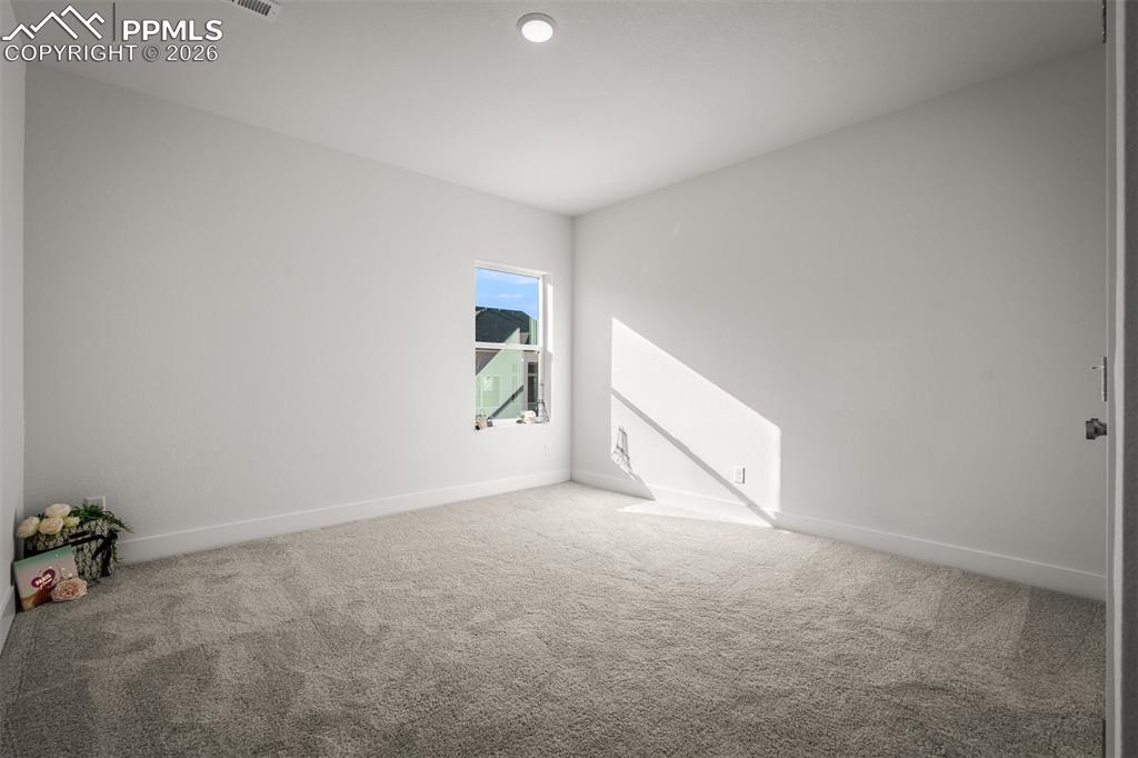 17234 Alsike Clover Court Monument CO 80132