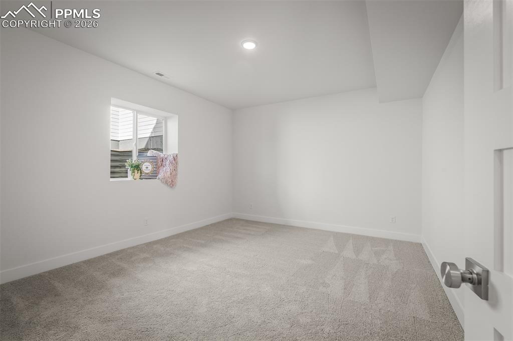17234 Alsike Clover Court Monument CO 80132