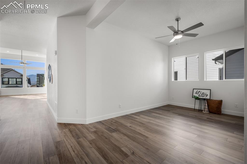 17234 Alsike Clover Court Monument CO 80132