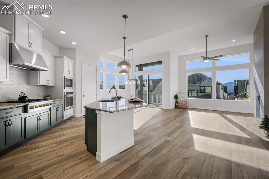 17234 Alsike Clover Court Monument CO 80132