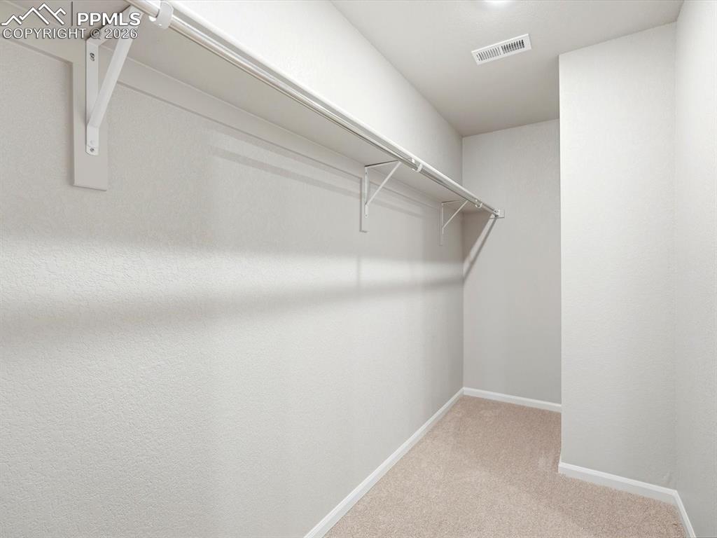 11385 Pikeminnow Place Colorado Springs CO 80925