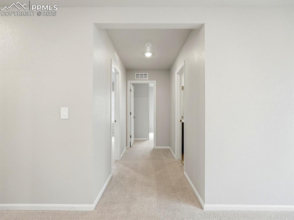 11385 Pikeminnow Place Colorado Springs CO 80925