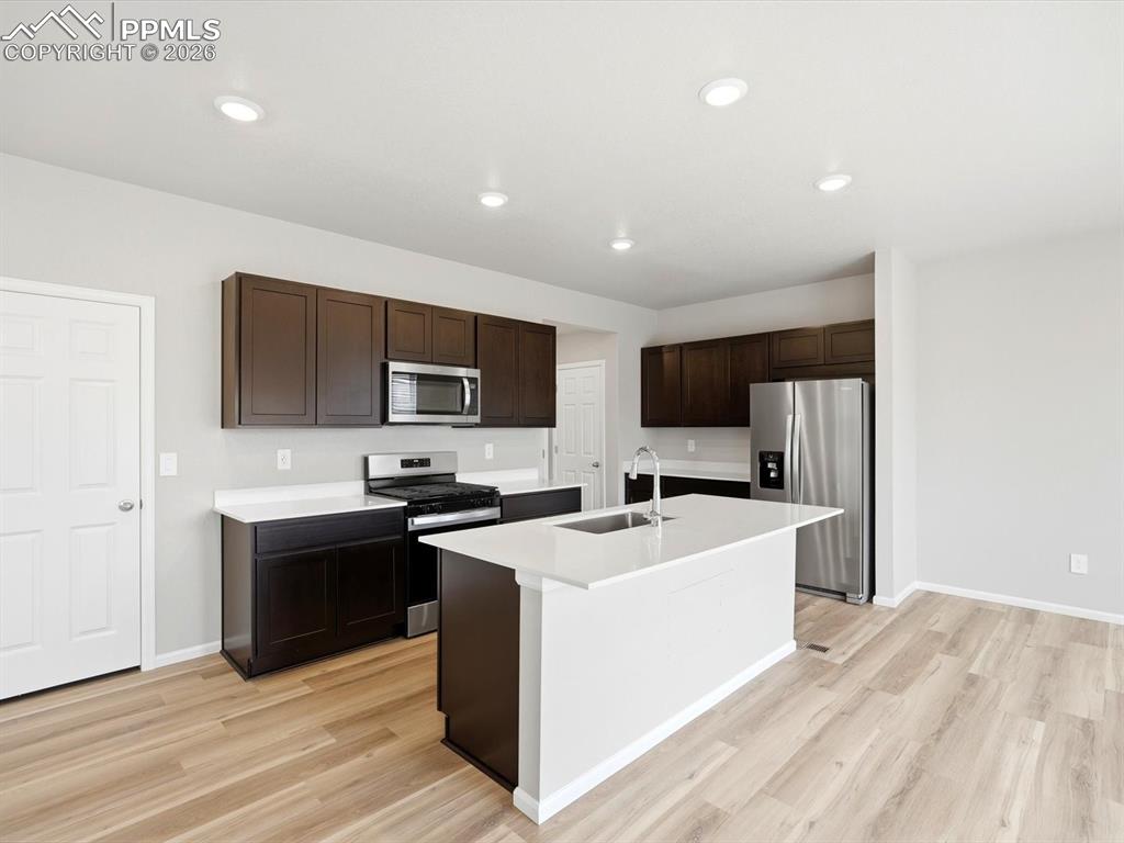 11385 Pikeminnow Place Colorado Springs CO 80925