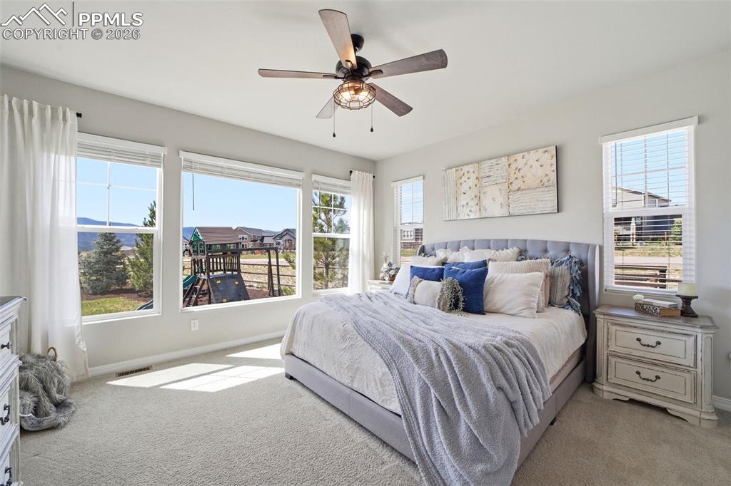 1444 Captiva Beach Lane Monument CO 80132