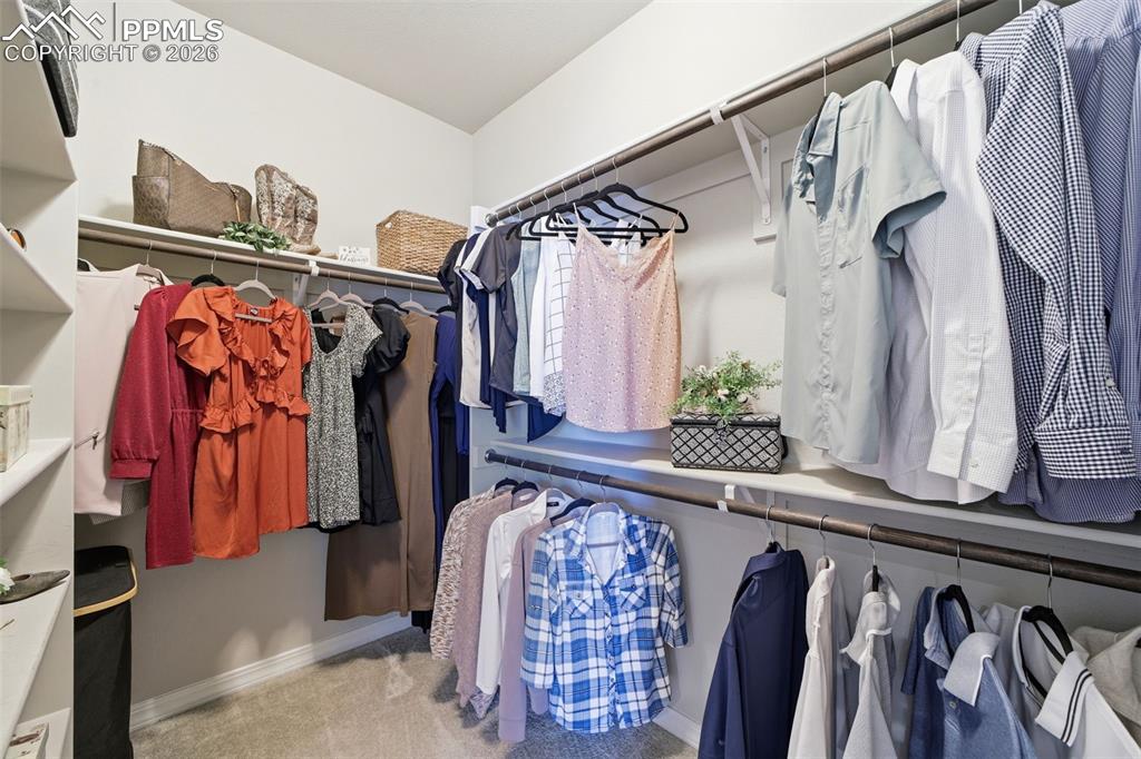 1444 Captiva Beach Lane Monument CO 80132