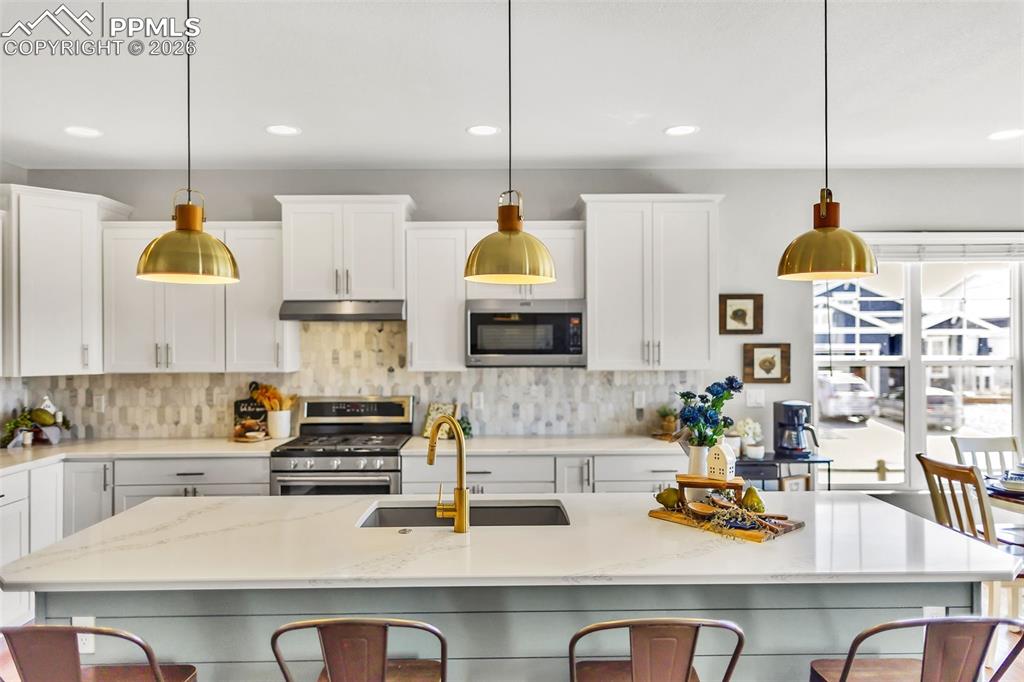 1444 Captiva Beach Lane Monument CO 80132