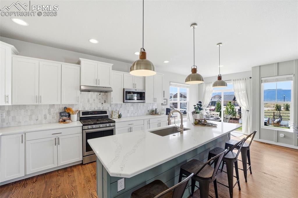 1444 Captiva Beach Lane Monument CO 80132