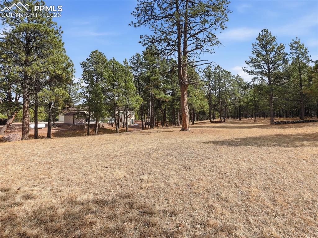 12855 Murphy Road Elbert CO 80106