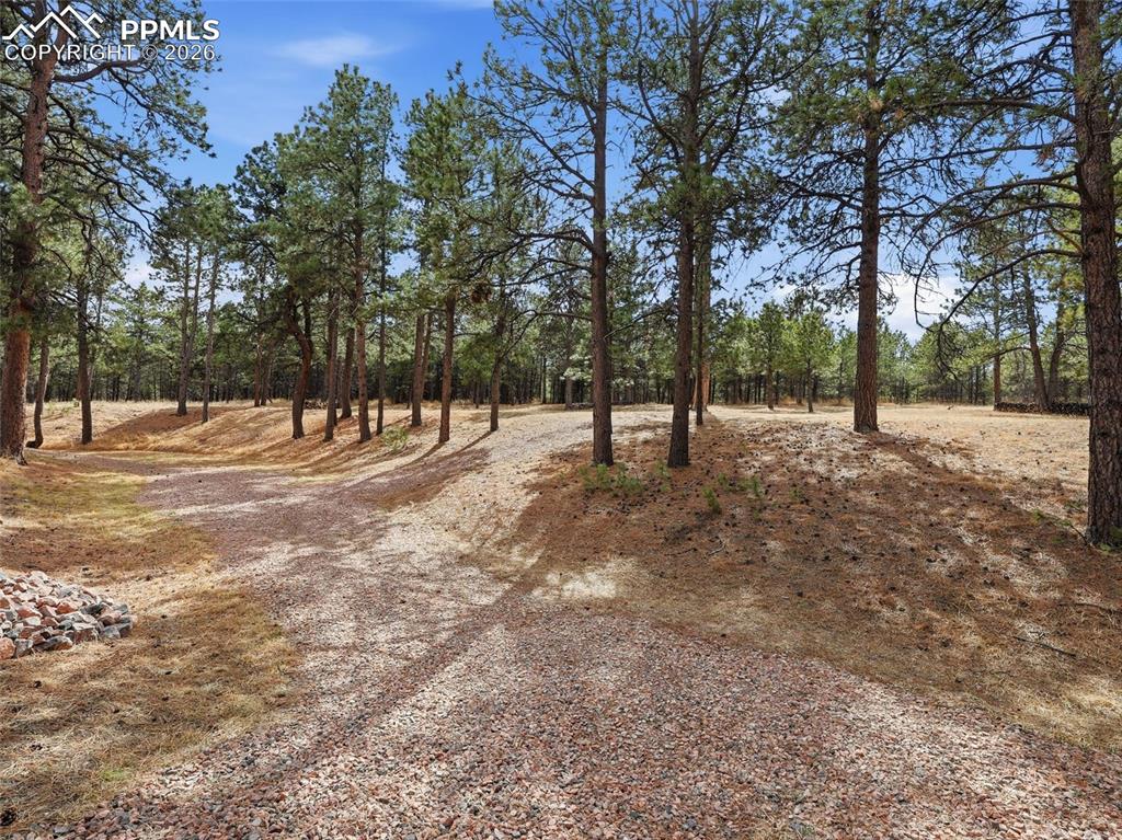 12855 Murphy Road Elbert CO 80106