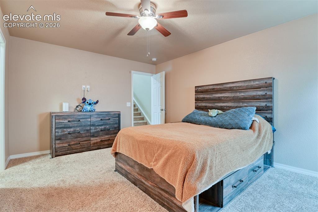 3895 Shining Star Drive Colorado Springs CO 80925