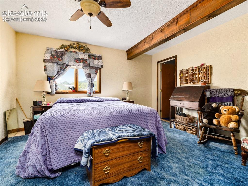 6160 Waterbarrel Road Beulah CO 81023