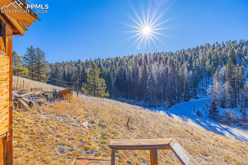 69 Snowberry Creek Road Florissant CO 80816