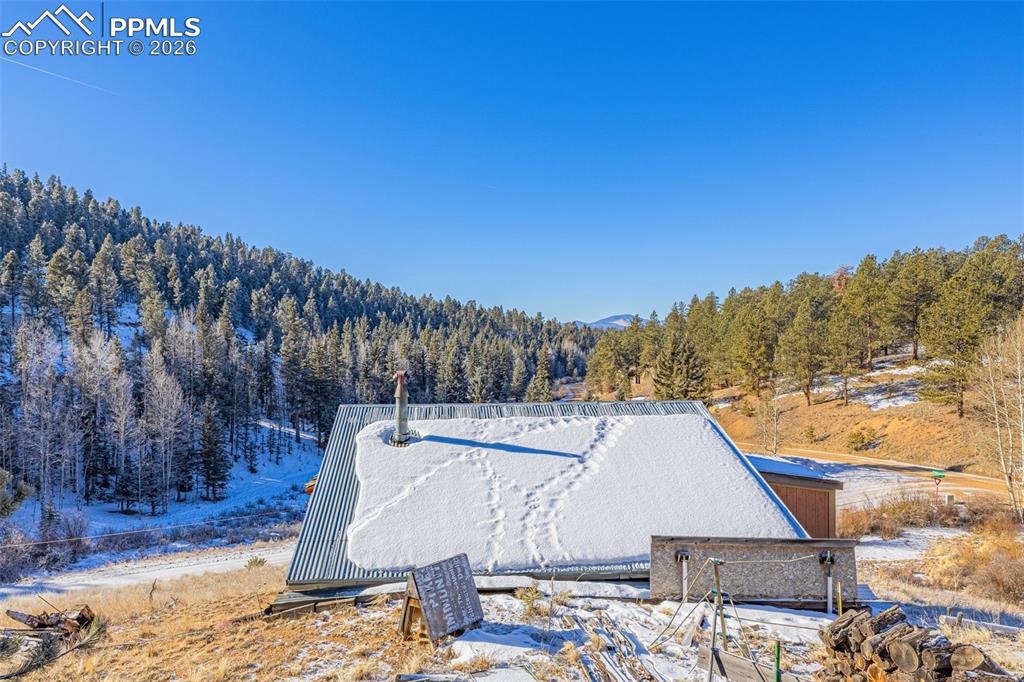 69 Snowberry Creek Road Florissant CO 80816