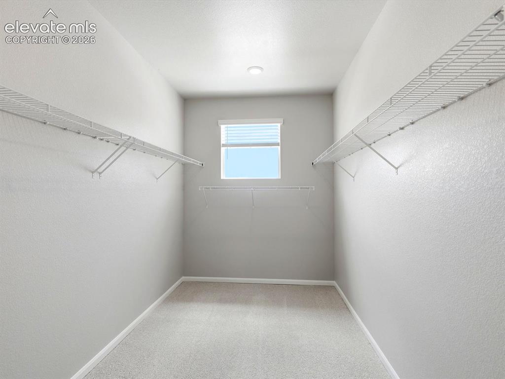 10118 Hartwood Drive Colorado Springs CO 80831