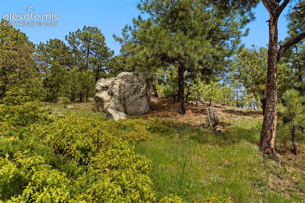 525 Silhouette Way Monument CO 80132