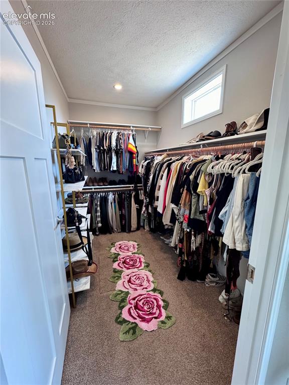 279 W Acorn Drive Pueblo West CO 81007
