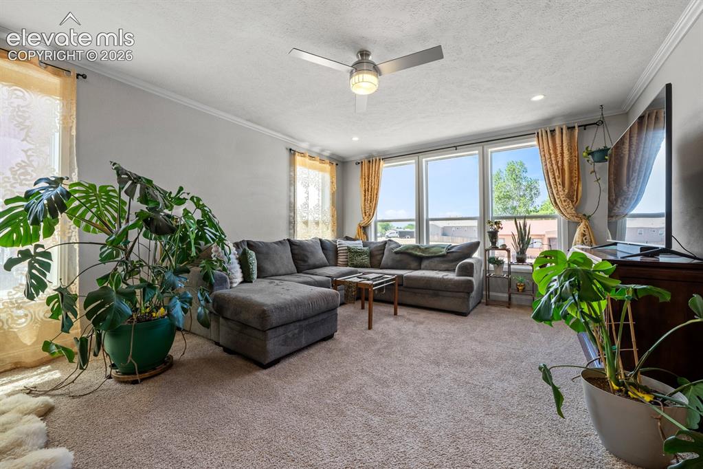 279 W Acorn Drive Pueblo West CO 81007