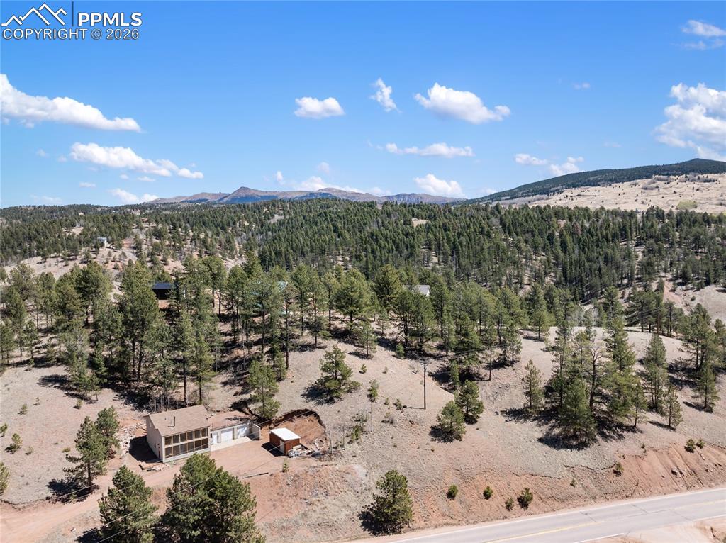 5060 County Road 1 Cripple Creek CO 80813