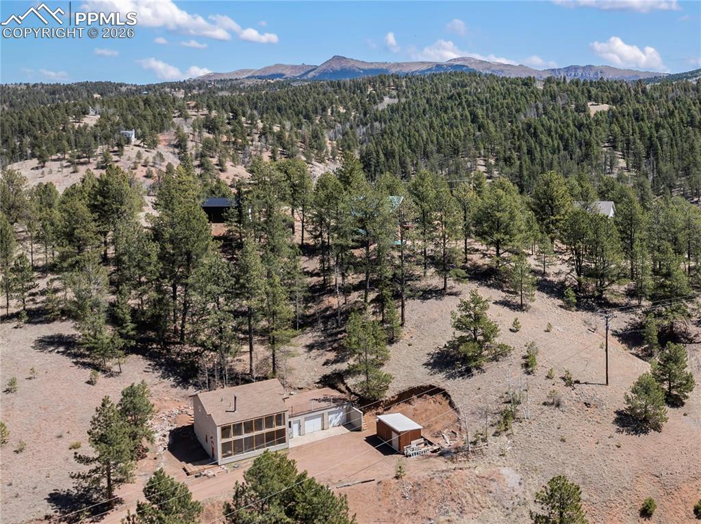 5060 County Road 1 Cripple Creek CO 80813