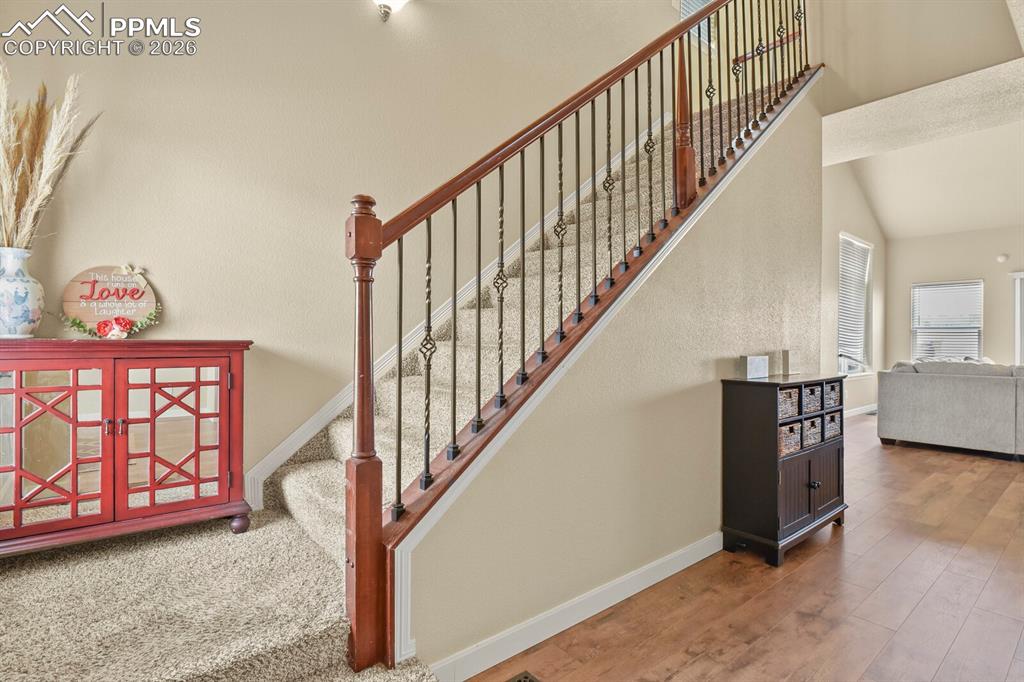 6776 Red Cardinal Loop Colorado Springs CO 80908
