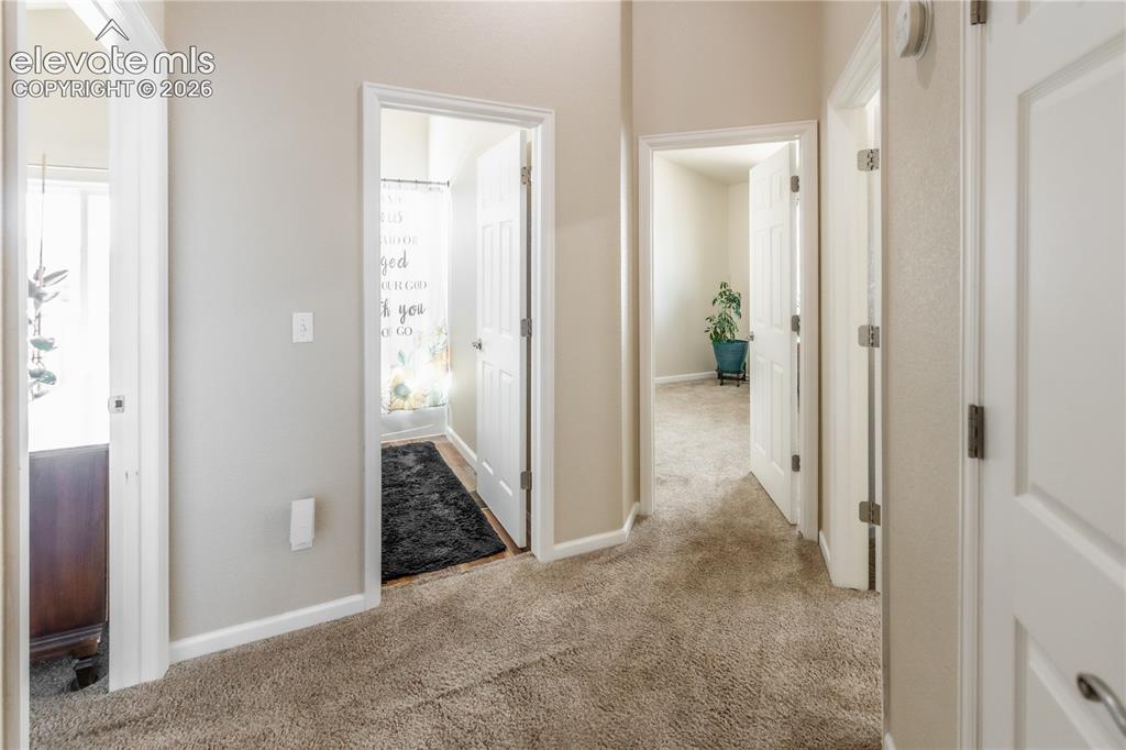 11981 Corbu Heights Peyton CO 80831