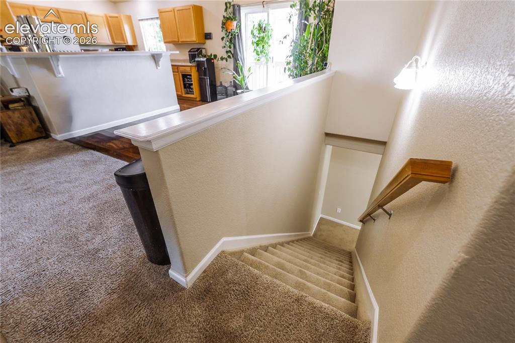 11981 Corbu Heights Peyton CO 80831