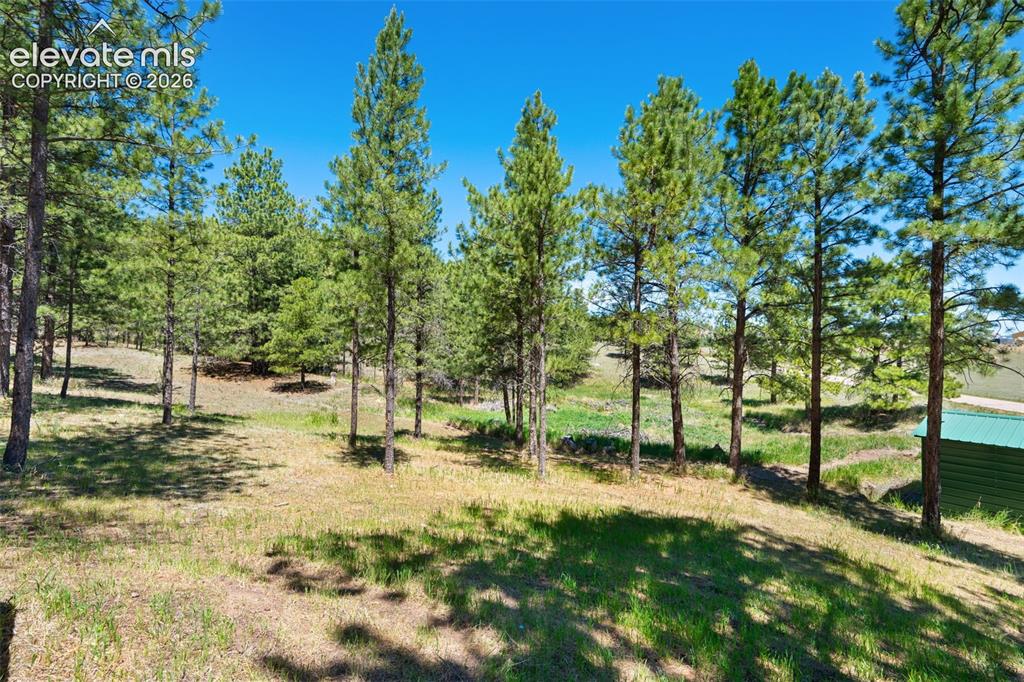 5463 High Park Road Florissant CO 80816