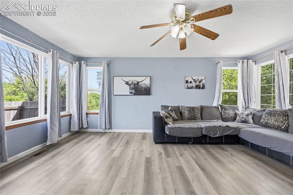 990 Ridgebury Place Fountain CO 80817