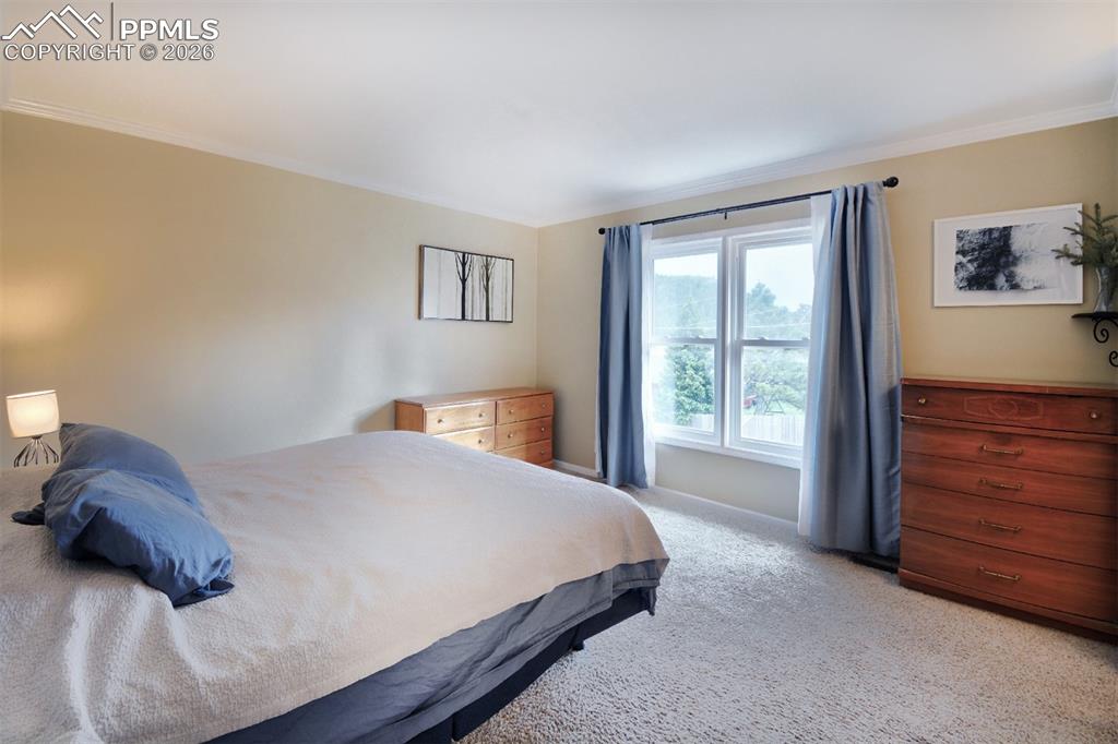 103 Aurelia Street Palmer Lake CO 80133