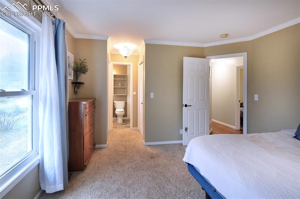 103 Aurelia Street Palmer Lake CO 80133