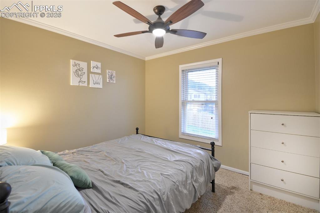 103 Aurelia Street Palmer Lake CO 80133