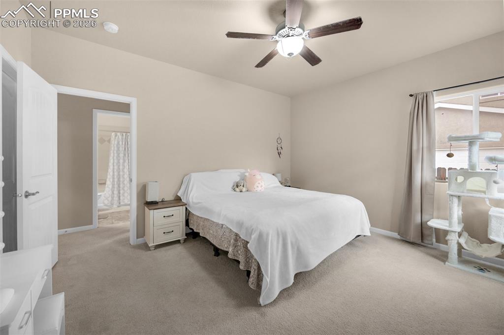 11558 Farnese Heights Peyton CO 80831