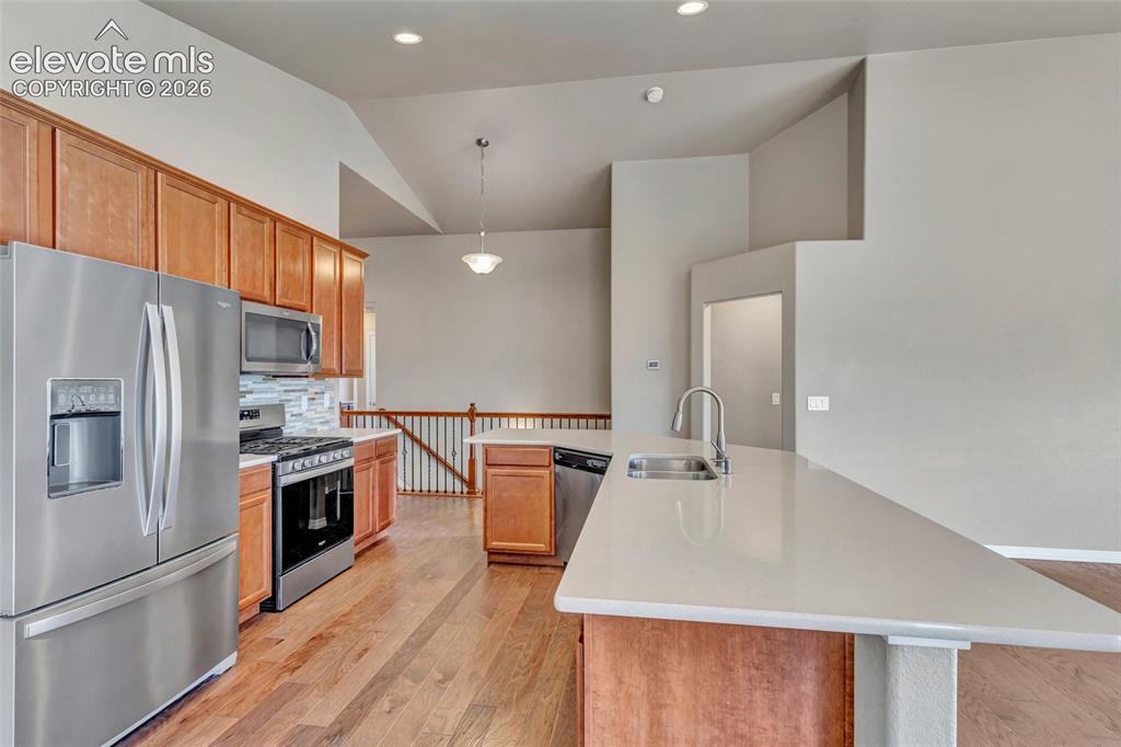 17906 Blue Opal Court Monument CO 80132