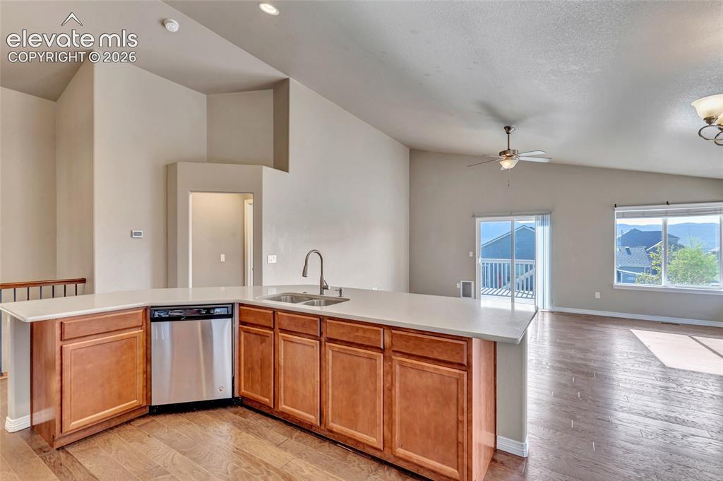 17906 Blue Opal Court Monument CO 80132