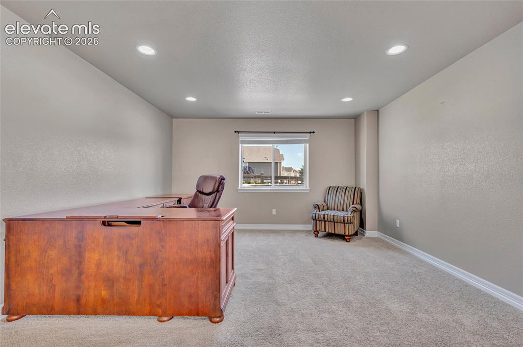 17906 Blue Opal Court Monument CO 80132