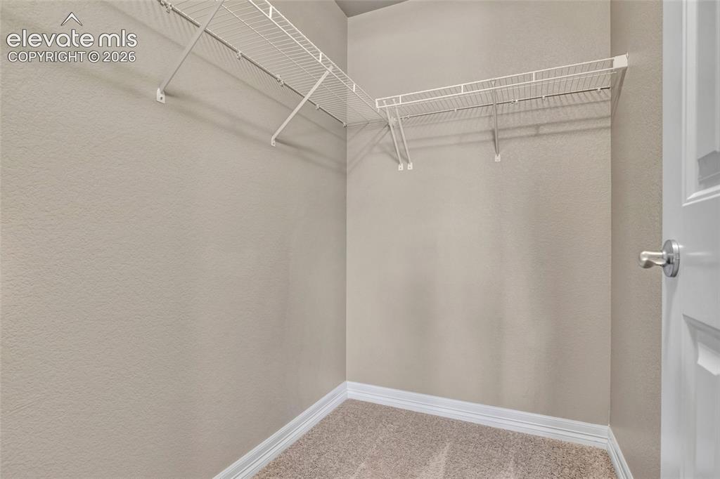 17906 Blue Opal Court Monument CO 80132