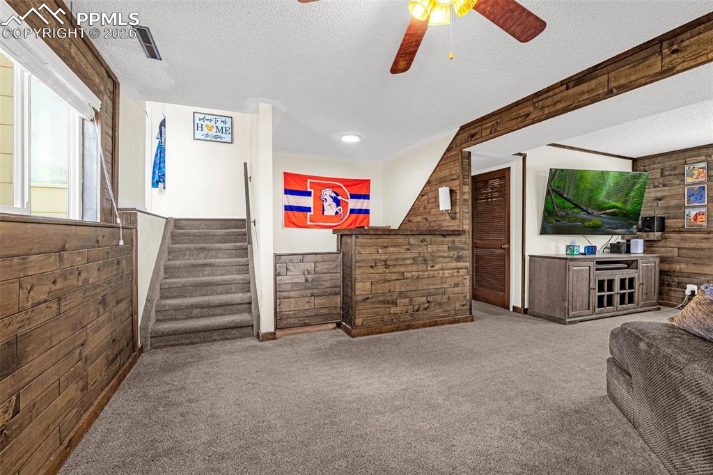 4620 Bunchberry Lane Colorado Springs CO 80917