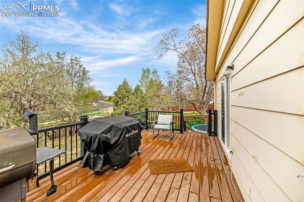 4620 Bunchberry Lane Colorado Springs CO 80917