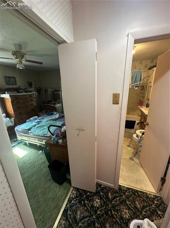 804 Phay Avenue Canon City CO 81212